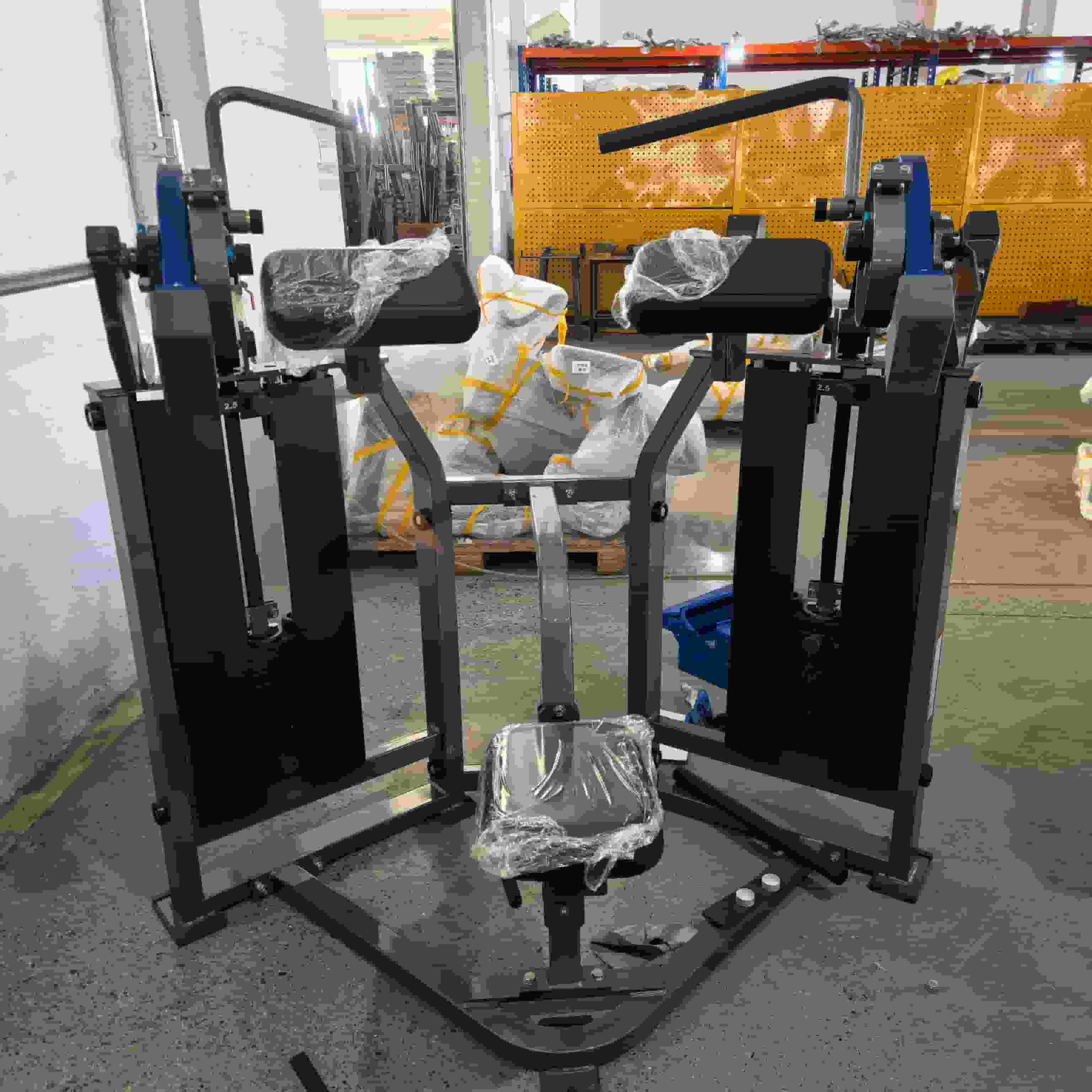 Iso Lateral Biceps Machine